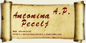 Antonina Pecelj vizit kartica